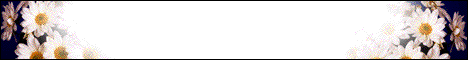aimrf9.gif